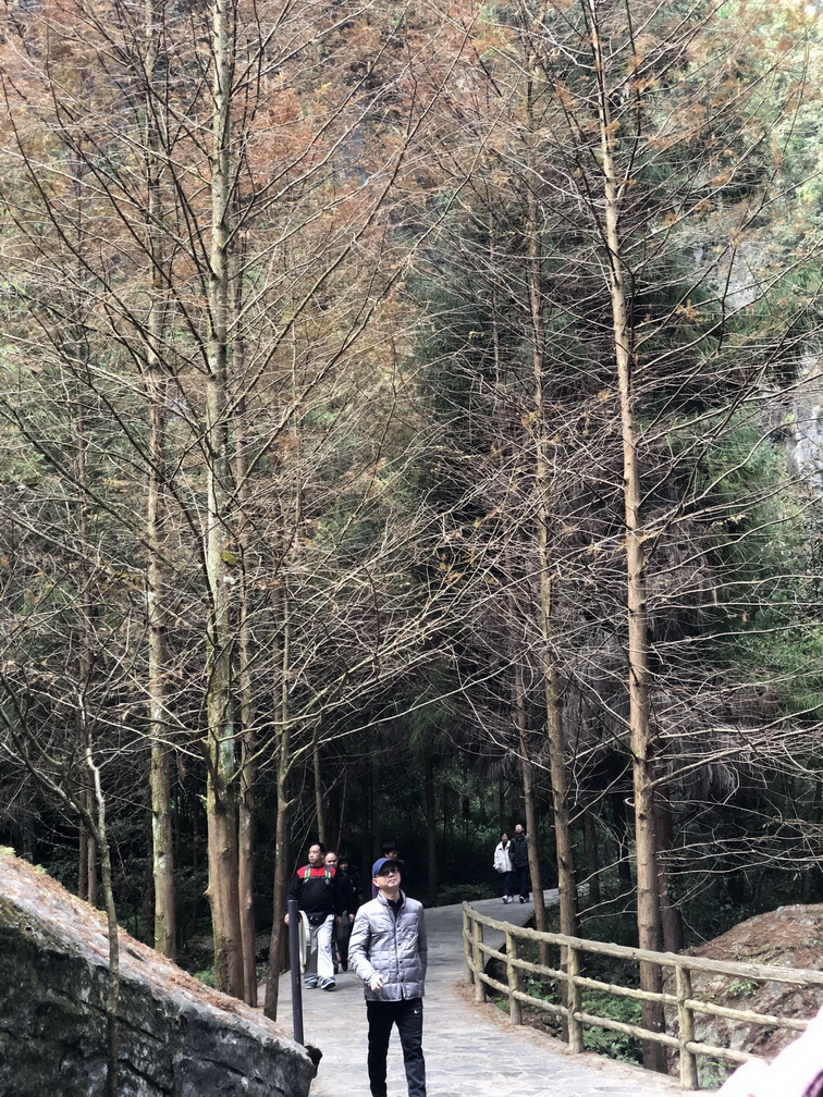 12.30-1-6.jpg 12.30-1-6.jpg